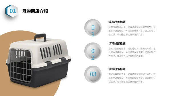蓝色简约3D立体宠物商业计划书PPT