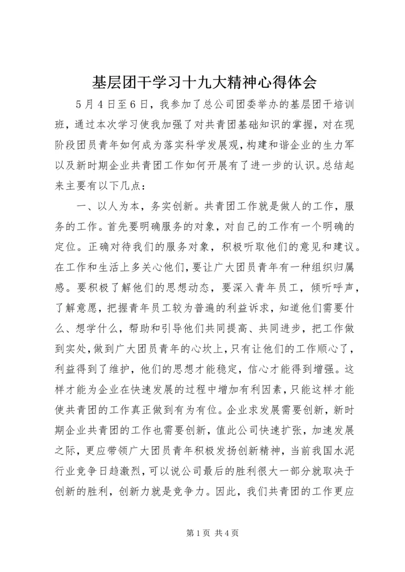 基层团干学习十九大精神心得体会 (4).docx