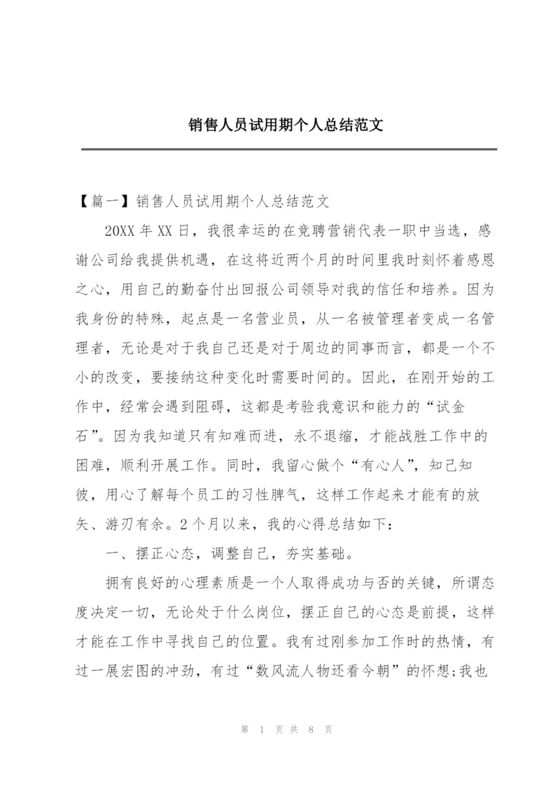 销售人员试用期个人总结范文.docx