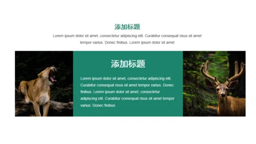 野生动物保护宣讲
