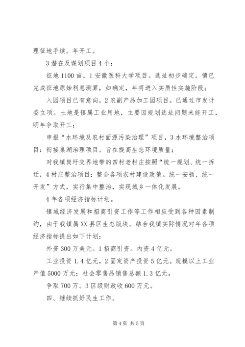 新镇民生管理发展计划.docx