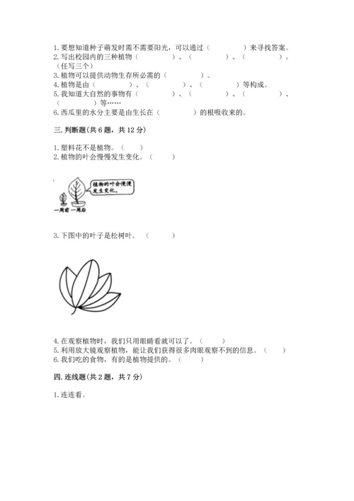 教科版科学一年级上册第一单元《植物》测试卷及完整答案一套.docx