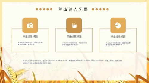 黄色卡通简约芒种节气通用PPT模板