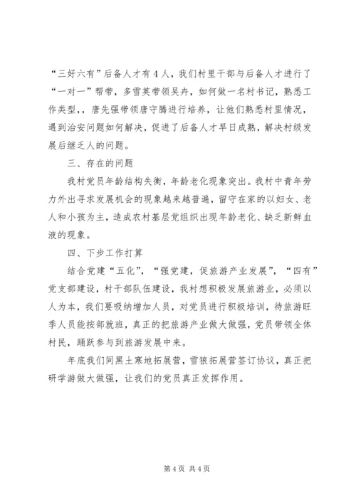 我村支部党建工作汇报提纲.docx