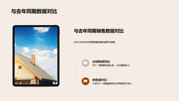 双十一销售全解析