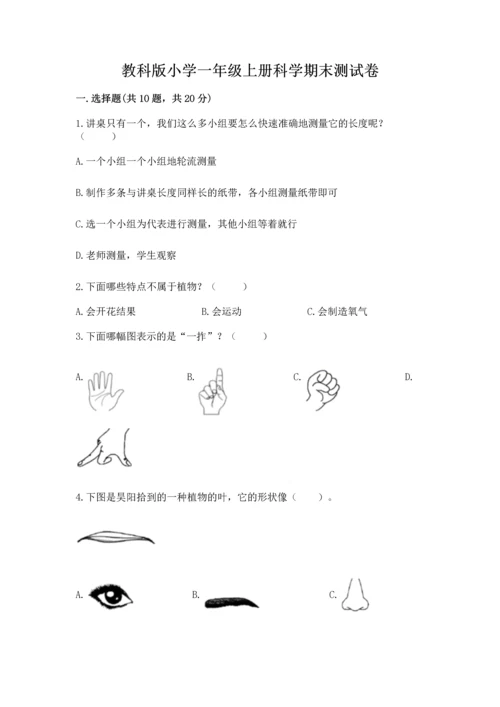 教科版小学一年级上册科学期末测试卷及参考答案【典型题】.docx