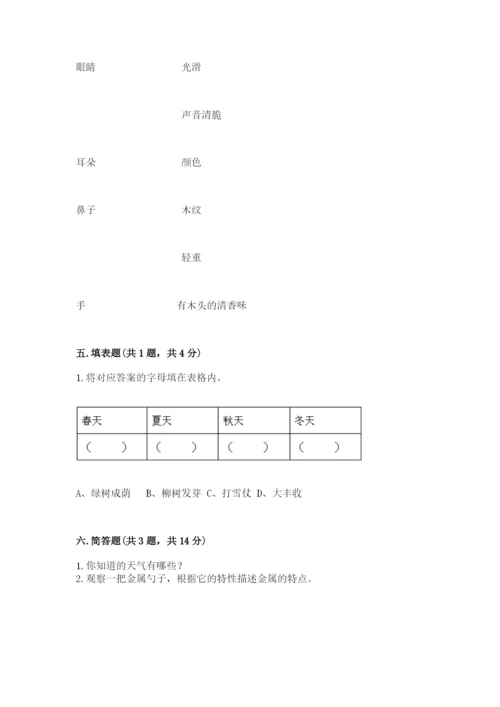教科版小学二年级上册科学期末测试卷含完整答案（网校专用）.docx