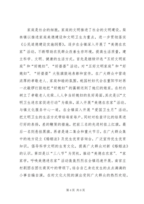乡镇妇联工作总结-乡镇妇联工作总结范文大全.docx