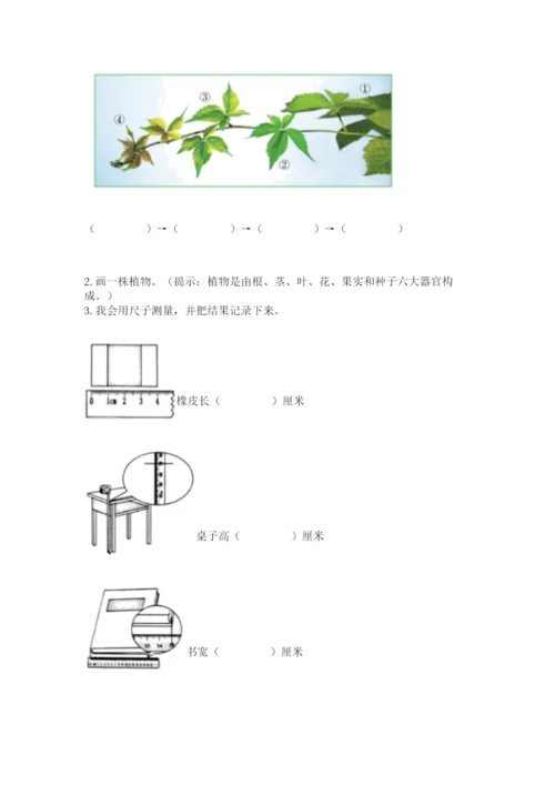 教科版一年级上册科学期末测试卷【典优】.docx