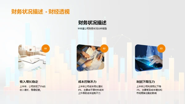 财务半年度分析