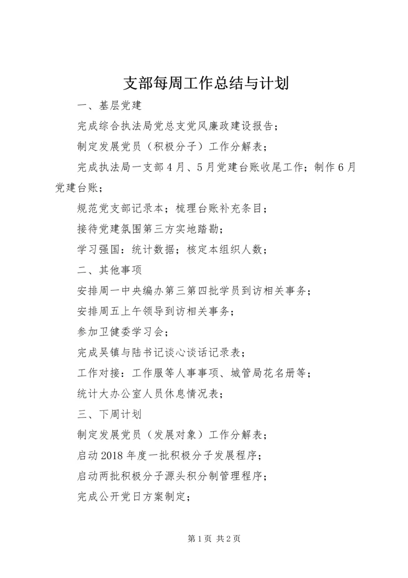 支部每周工作总结与计划.docx