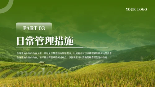 绿色简约农业发展乡村振兴PPT模板