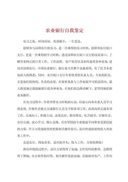 农业银行自我鉴定