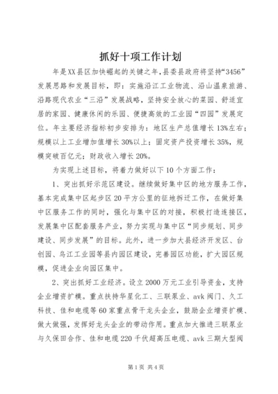 抓好十项工作计划.docx