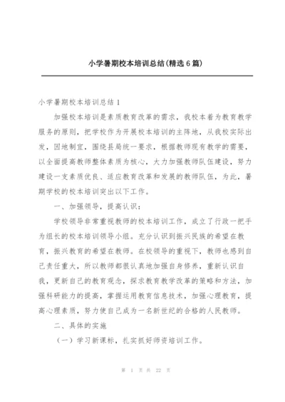 小学暑期校本培训总结(精选6篇).docx