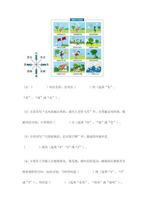 教科版小学三年级上册科学期末测试卷【中心小学】.docx