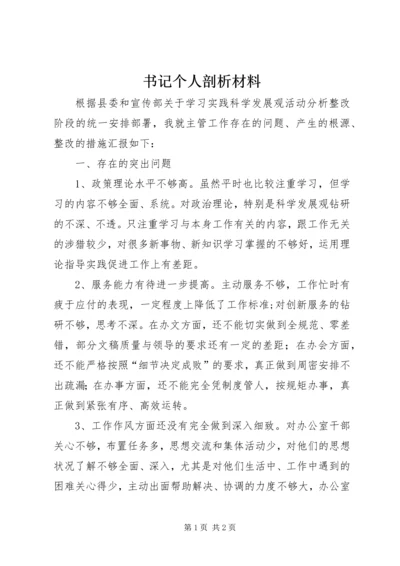 书记个人剖析材料.docx