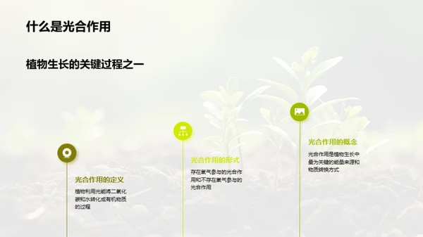 揭秘植物生长