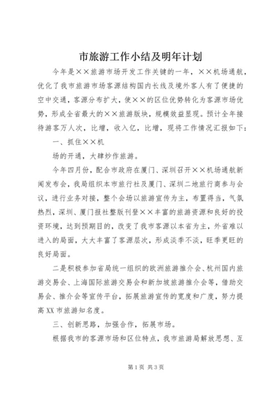 市旅游工作小结及明年计划 (8).docx