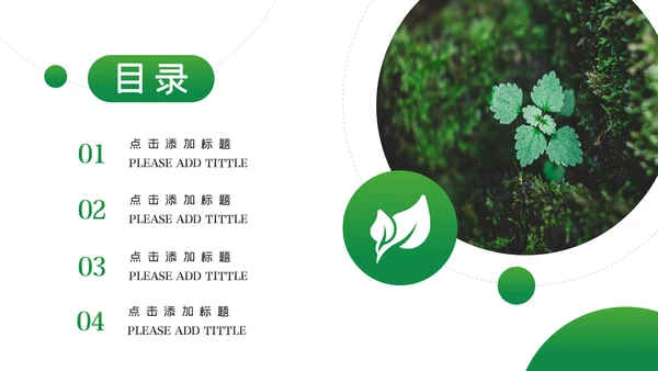 唯美绿色植物发芽植物生长敬畏生命PPT模板