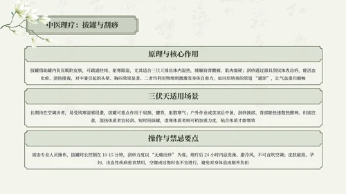 绿色清新中国风三伏天养生中医理疗知识讲座PPT模板