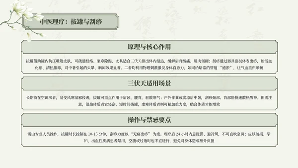 绿色清新中国风三伏天养生中医理疗知识讲座PPT模板
