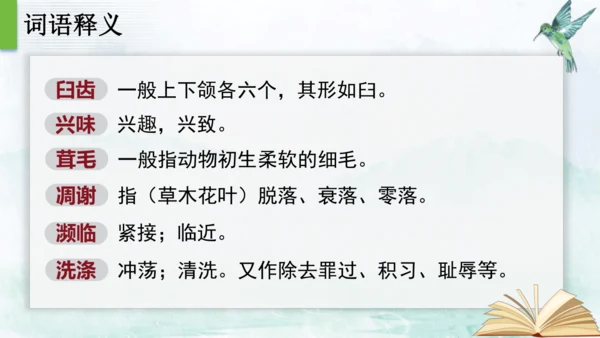16 散文二篇  永久的生命 课件