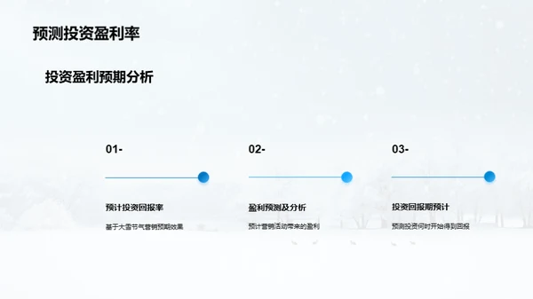 大雪营销策略解析