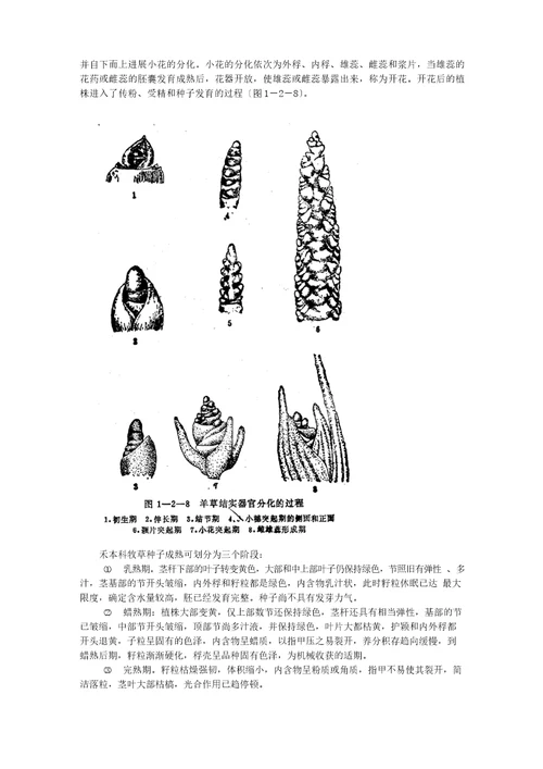 优质牧草高产栽培与利用牧草的生物学特性第一节牧草的生长发育