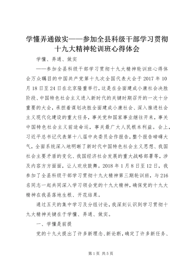 学懂弄通做实——参加全县科级干部学习贯彻十九大精神轮训班心得体会.docx