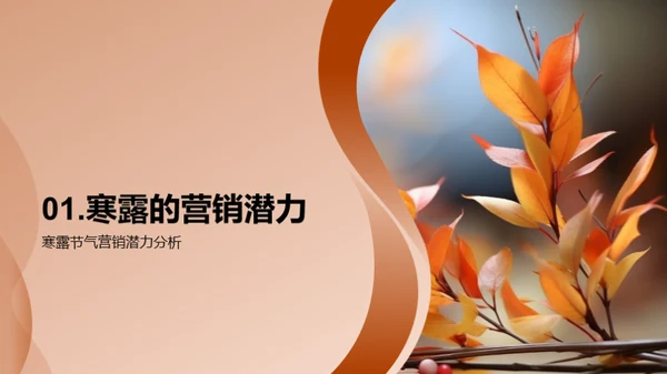 寒露营销契机