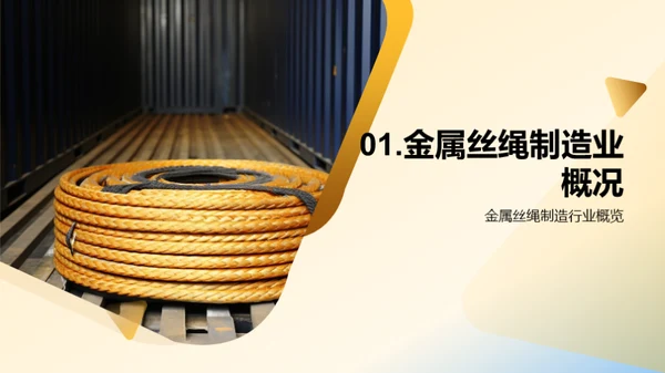 探索金属丝绳未来