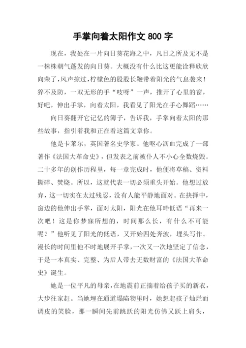 手掌向着太阳作文800字.docx
