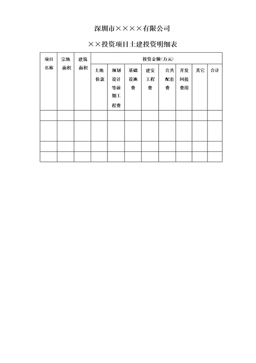 项目投资专项审计报告