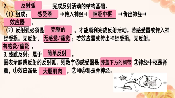 第四单元第五、六章复习课件(共33张PPT)人教版七年级下册