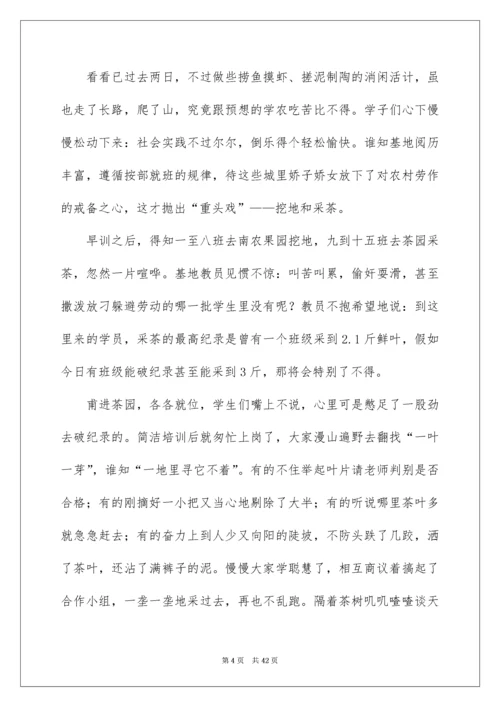 高中社会实践报告_19.docx
