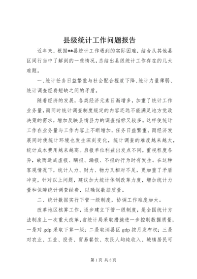 县级统计工作问题报告 (2).docx