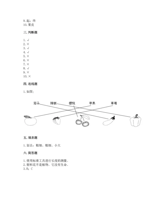 教科版科学一年级上册期末测试卷（全国通用）.docx