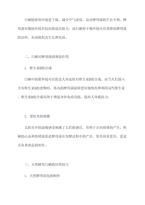 天然酵母日晒的作用和功效