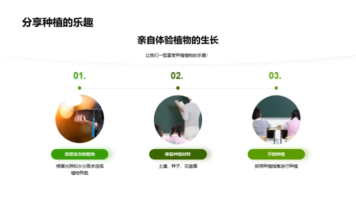 探索植物的奥秘