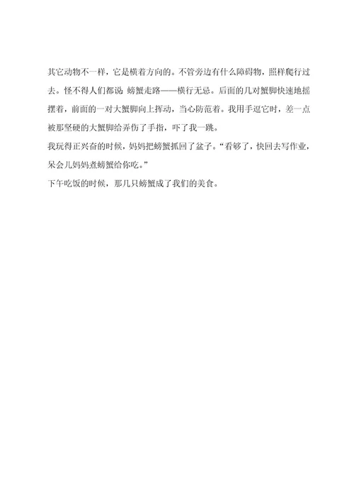 观察作文（精选6篇）作文
