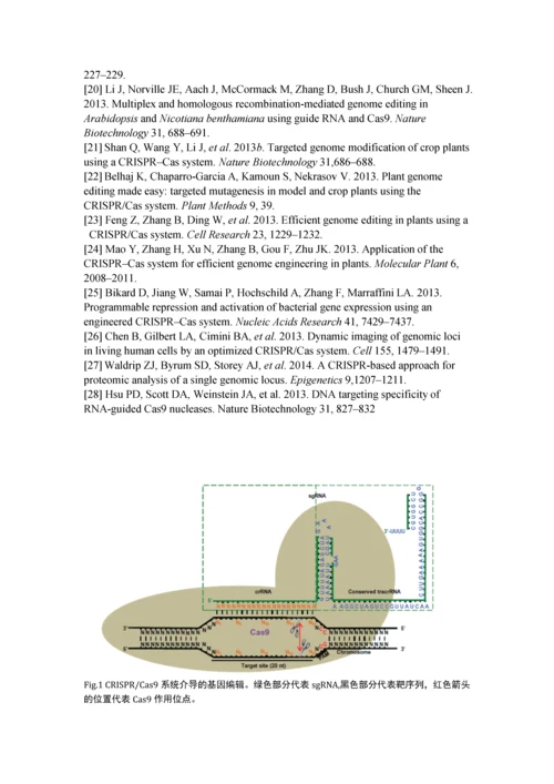 基因表达与信号转导课程论文以CRISPR-Cas9系统为基础的植物基因编辑技术—机遇与进步.docx