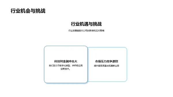 财务视角的公司蓝图