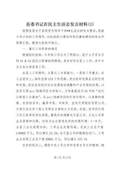 县委书记在民主生活会发言材料(1).docx