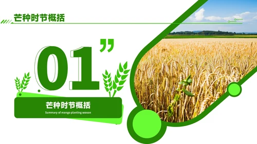 绿色商务风芒种时节农业新技术应用与推广