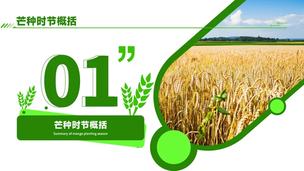 绿色商务风芒种时节农业新技术应用与推广