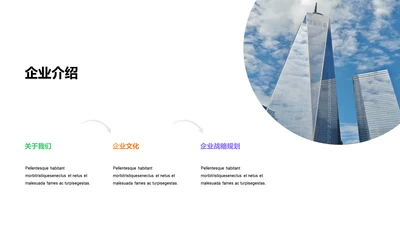 多色扁平3项企业介绍