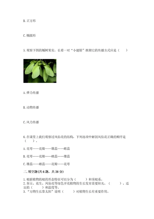 教科版科学四年级下册第一单元植物的生长变化测试卷及答案基础提升