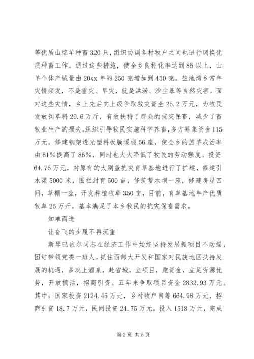 牧区党委书记先进事迹材料 (4).docx