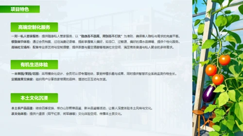 新城市农家小院策划案通用PPT